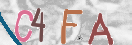 验证图片
