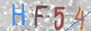 验证图片