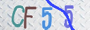 验证图片