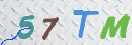 验证图片