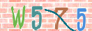 验证图片