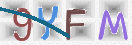 验证图片