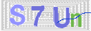 验证图片
