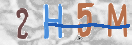验证图片
